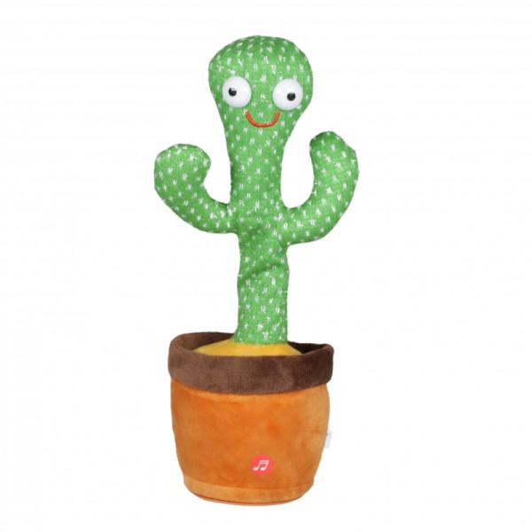 Tanzender Kaktus „Kalle“