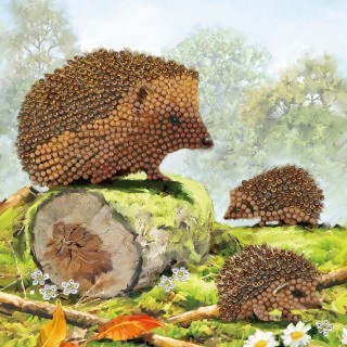 Crystal Art Card -Happy Hedgehogs