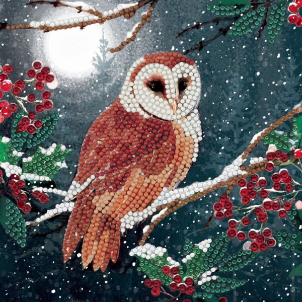 Crystal Art Card - Barn Owl
